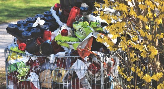 How LDPE Recycling Can Help Combat Plastic Pollution