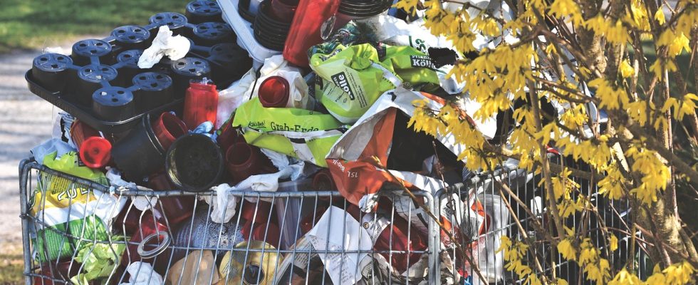 How LDPE Recycling Can Help Combat Plastic Pollution