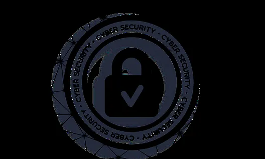 Too Many Vulnerabilities, Not Enough Time: How to Triage Risk
